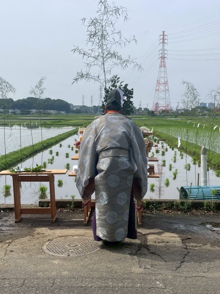 御田植祭斎行 | 【公式】座間郷総鎮守 鈴鹿明神社
