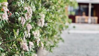 621dff0d310ad301cd18d04a27e463